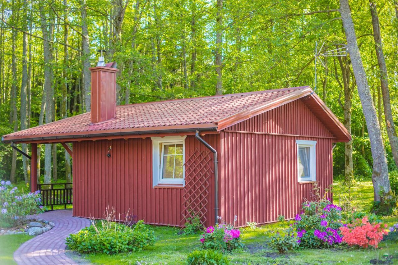 Namelis Nr 1 Adeles Sodyba Sturmai Exteriör bild