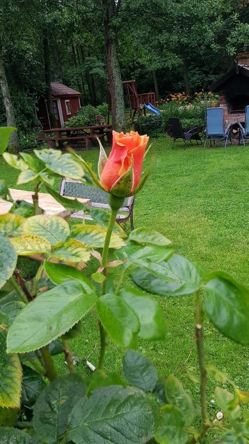 Namelis Nr 1 Adeles Sodyba Sturmai Exteriör bild