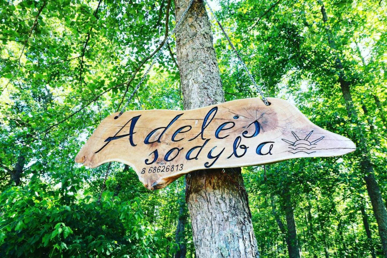 Namelis Nr 1 Adeles Sodyba Sturmai Exteriör bild